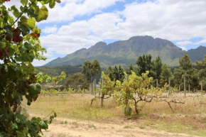 Stellenbosch Luxury Apartment